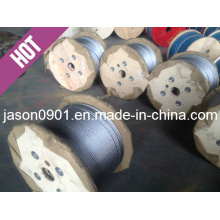 Steel Wire Rope, Stainless Steel Wire Rope, Steel Wire, Stainless Steel Wire